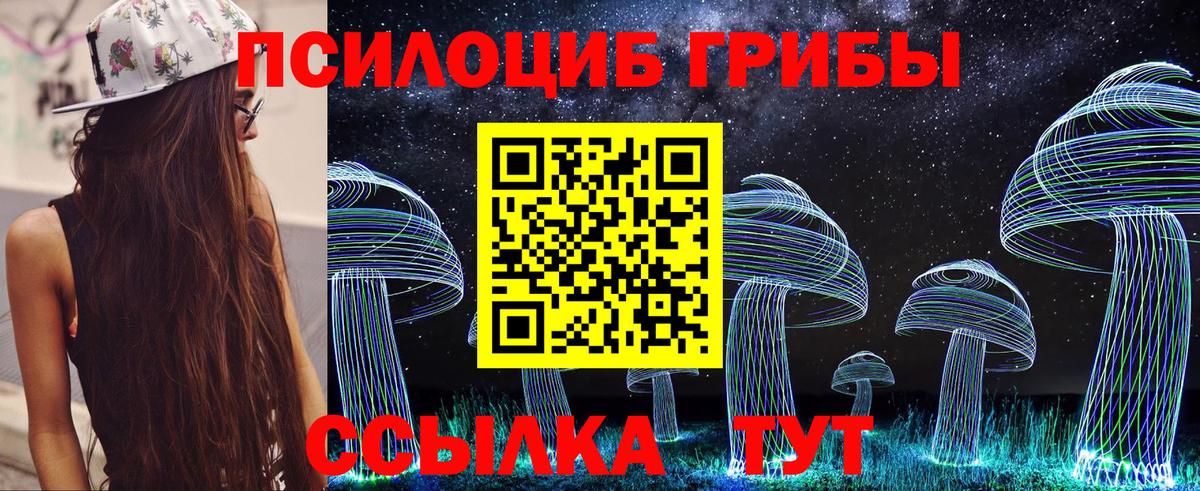 Михайловка  Галлюциногенные грибы GOLDEN TEACHER  Вход с VPN 