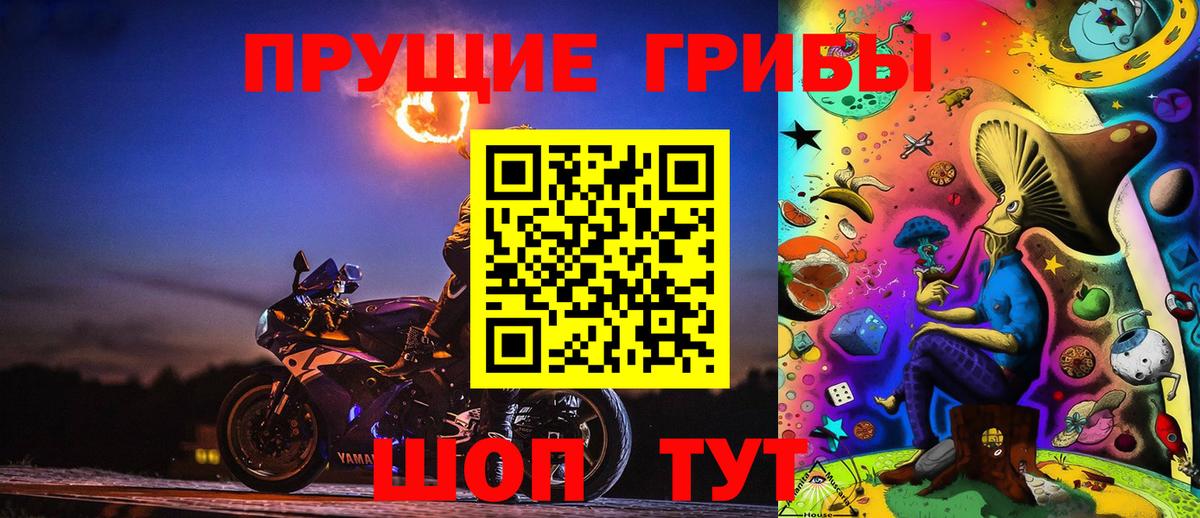 Галлюциногенные грибы GOLDEN TEACHER Михайловка
